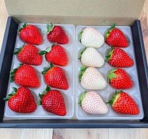 中里苺園 ギフトBOX (中)食べ比べ3種