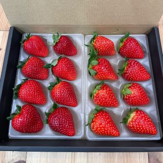 中里苺園　ギフトBOX（中）食べ比べ２種