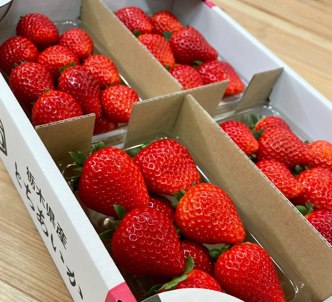 中里苺園 とちあいか たっぷり！1kg | とちぎの食から探す,いちご