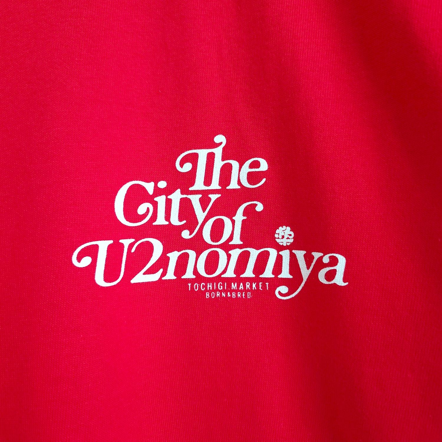 �ڥ���T��U2nomiya City