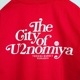 �ڥ���T��U2nomiya City