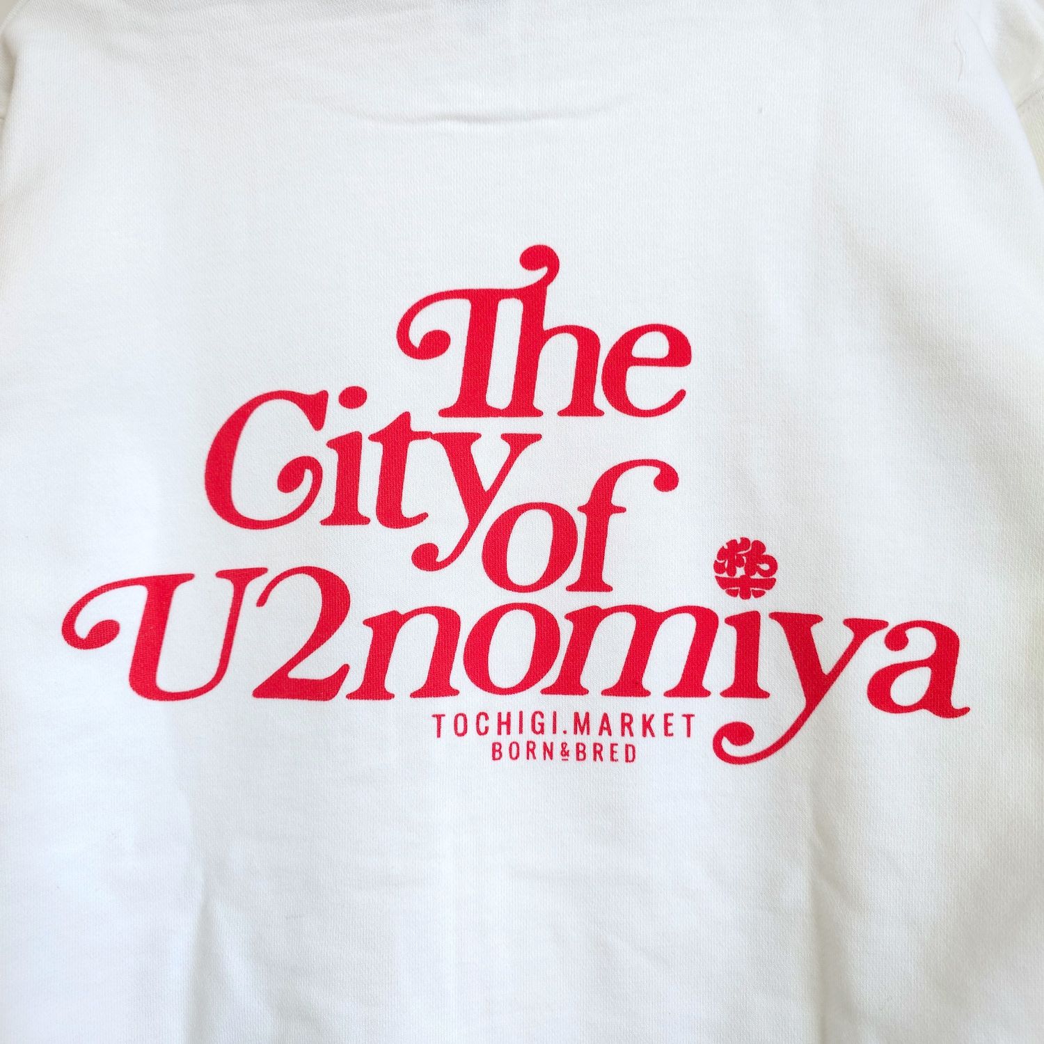 �ڥա��ǥ���U2nomiya City