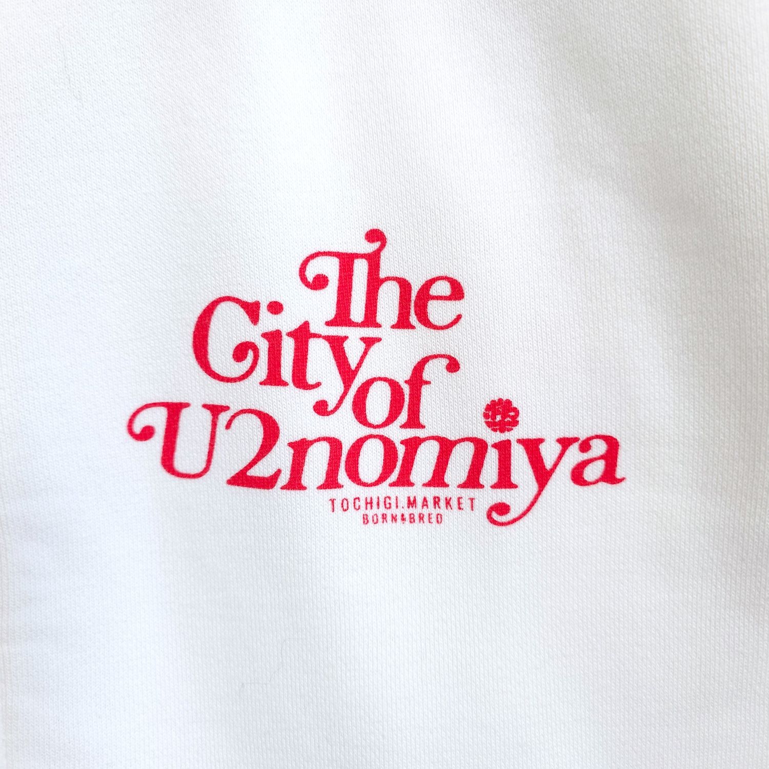 �ڥ��åץ��㥱�åȡ�U2nomiya City