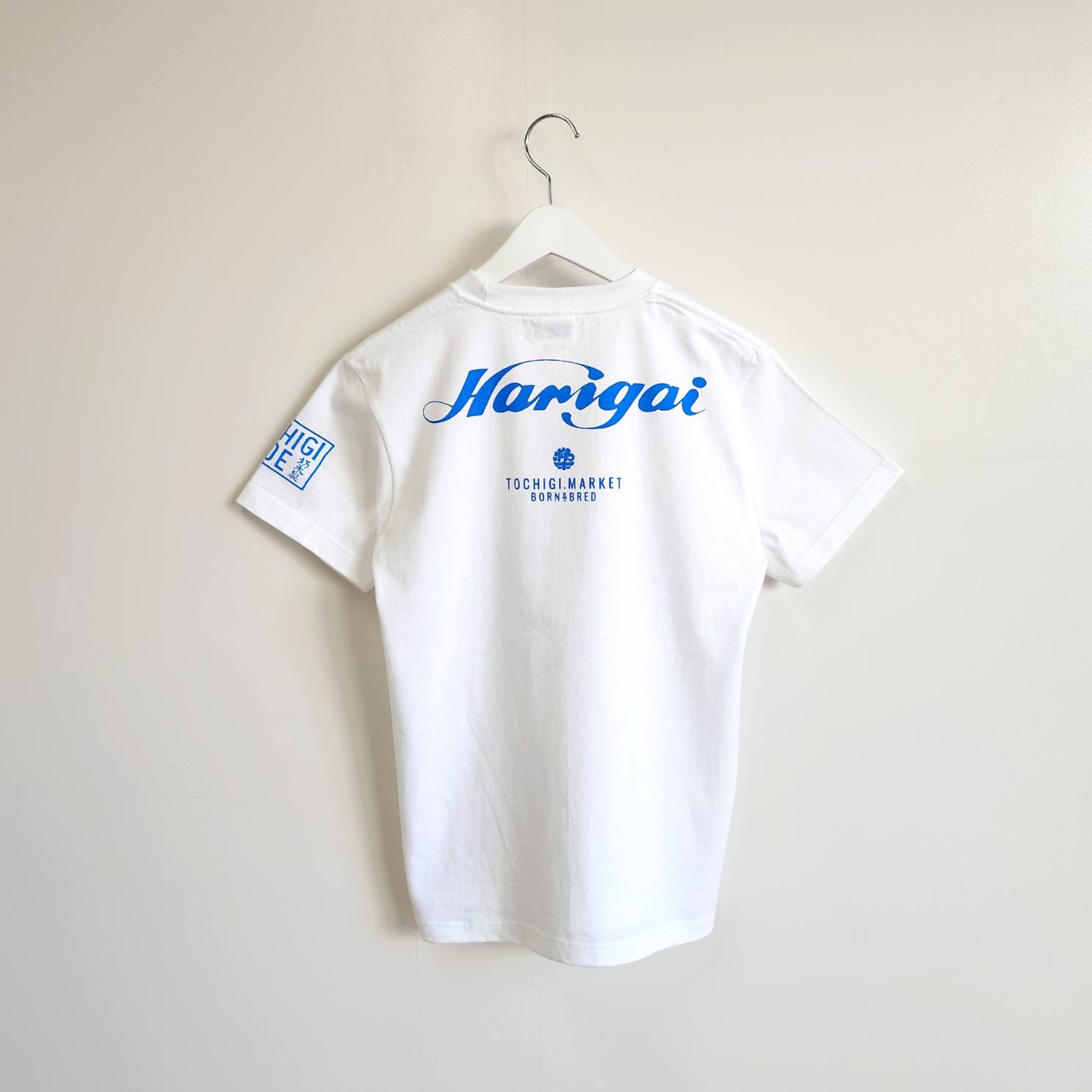 ��NEW�ۤ���ߤ����T�����