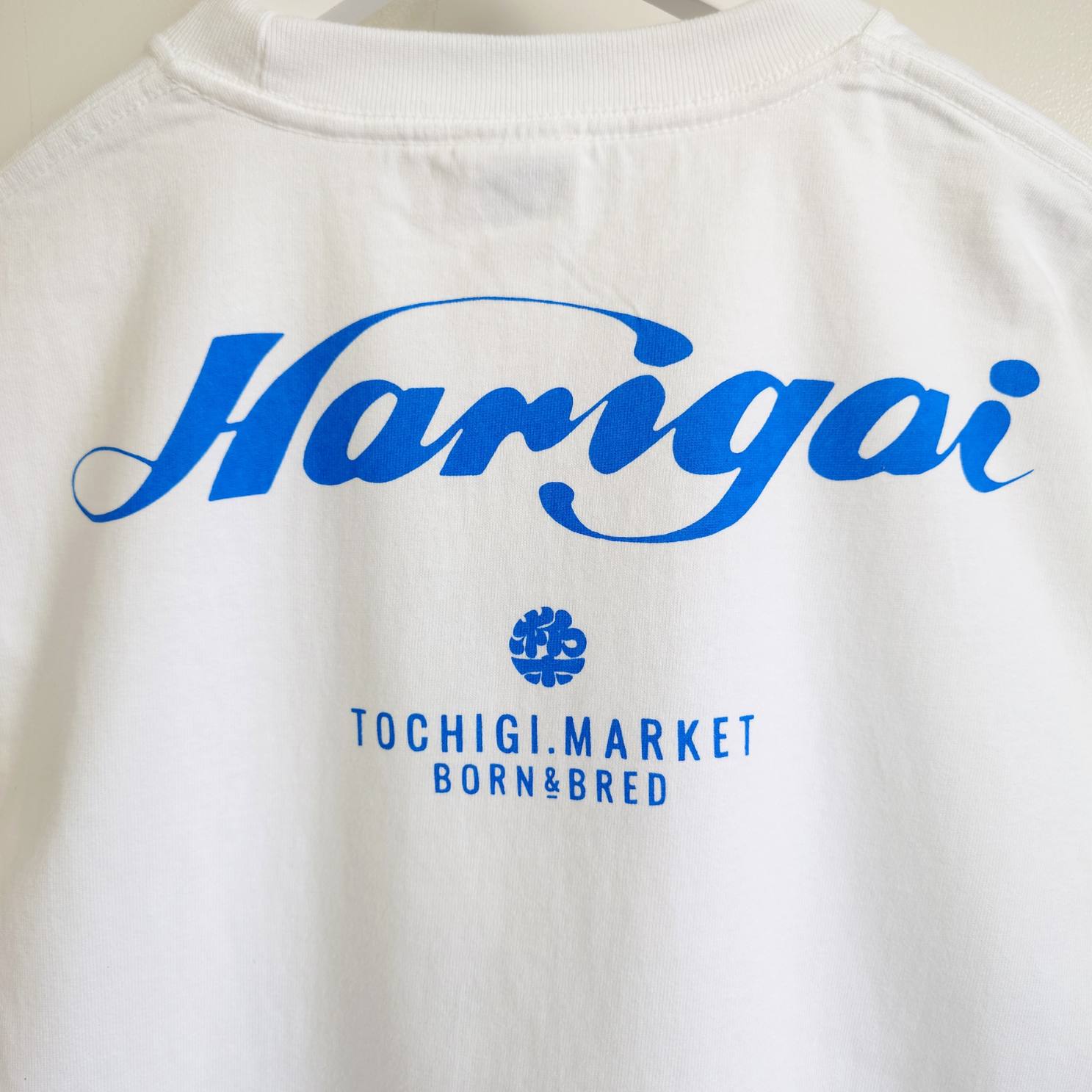 ��NEW�ۤ���ߤ����T�����