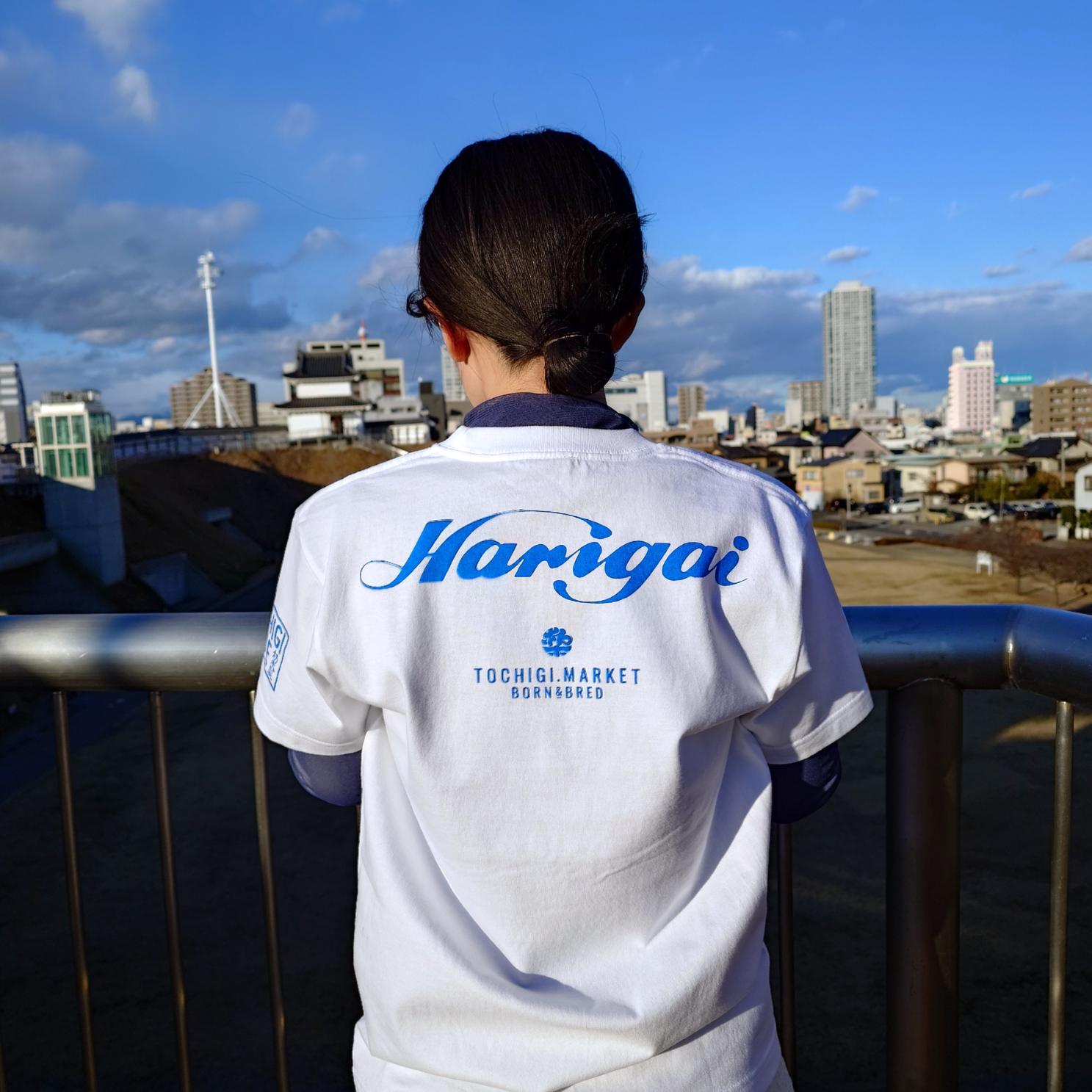 ��NEW�ۤ���ߤ����T�����