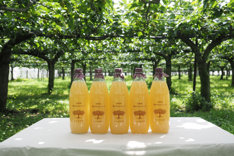 �����ե����ޡ�����������������塼��5������