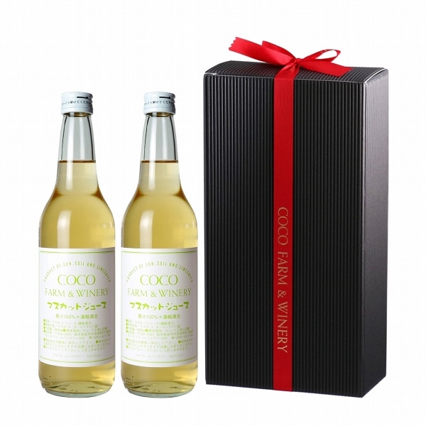 եࡦ磻ʥ꡼ޥåȥ塼 2