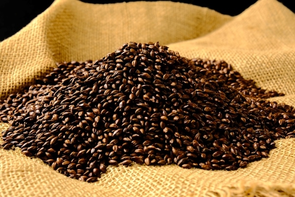 �ڵ������۲��츩�����ѡ����ޤ���ä�¼����եȥ֥��꡼�����祳��ӡ���2�ܥ��å�