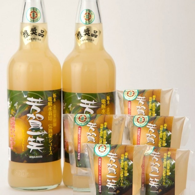 Ĳ̼ࡡ塼2ܡ꡼5ĥå