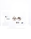 ��ξ�����祫����� Ƭ�� 13mm��Ĺ�� 10mm (10������)
