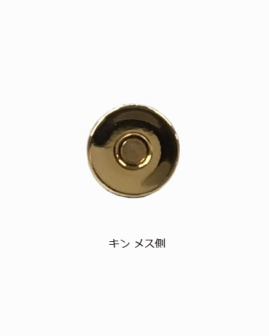 ڥޥͥåȥۥå (޼) ľ 18mm­Ĺ 9mm