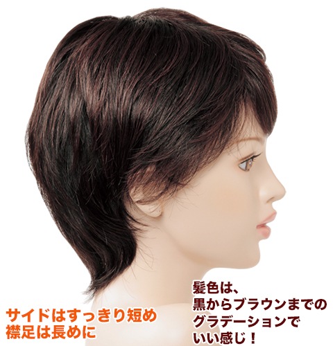 �ڤ䤫�����å��͹��ӡ֥��硼�ȥ쥤�䡼��