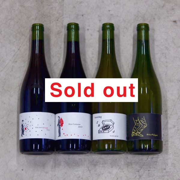 クール便にてお届け】ストゥディオゴーゴー gogo2022 セット