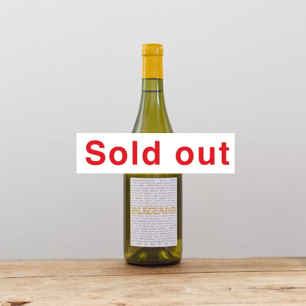 ����ȡ����쥹�ƥ��˥�å����֥ꥶ����2021��