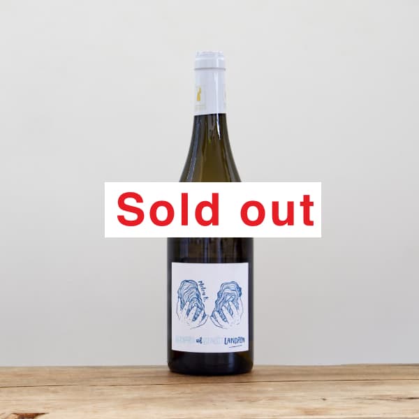 ���ɥ��󡦥����ƥ����������B��2022��