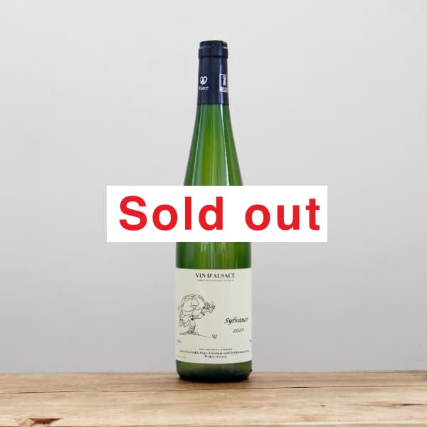 ���󥰥�󥸥�����������͡���2020��