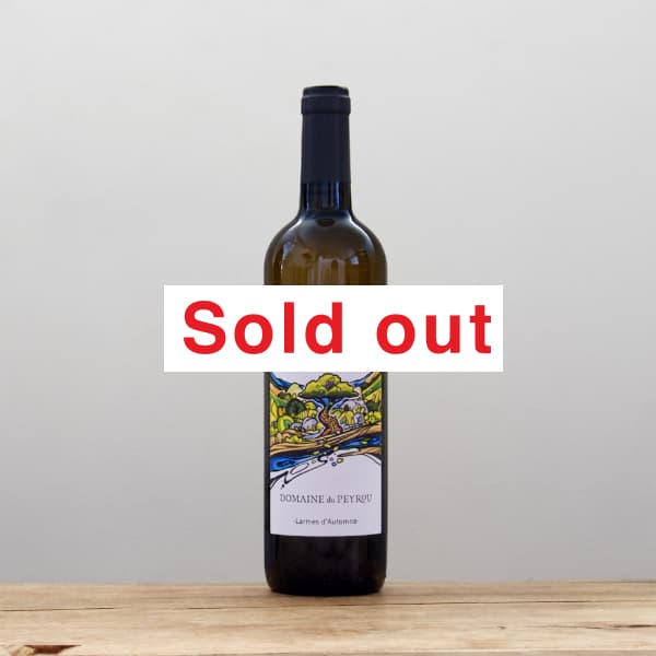 ɥ᡼̡ǥ塦ڥࡦɡȥ2022