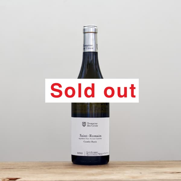 ɥ᡼̡ǡޥ󡦥֥󡡥֥Х2021