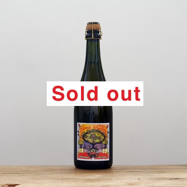 �����ɥ�꡼���ǥ塦����륫�󡡥ȥ�󥹥ѥ���2020�����ɥ�