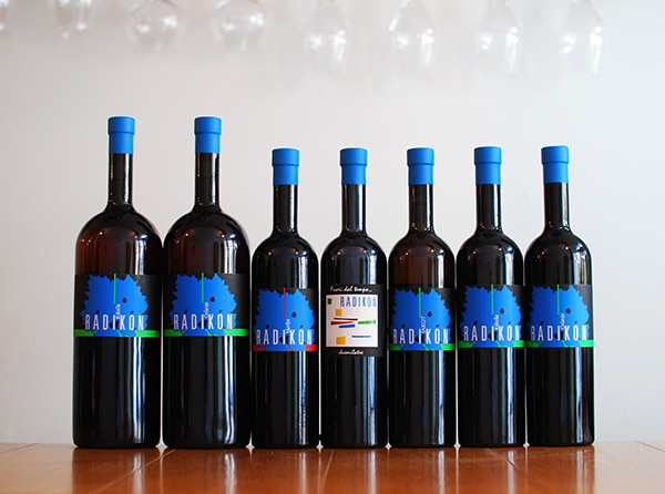 ラディコン ピニョーリ2013赤