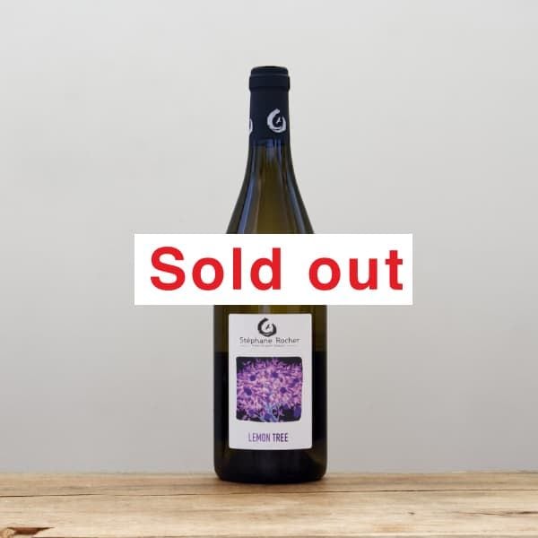 եࡦǥ塦֥Ρ󡦥ĥ꡼2022