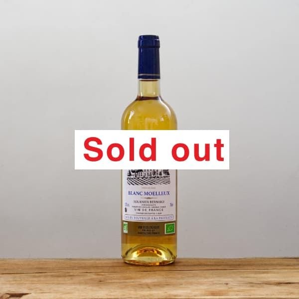 ȡɡץɡ֥󡦥롼2022Ÿ