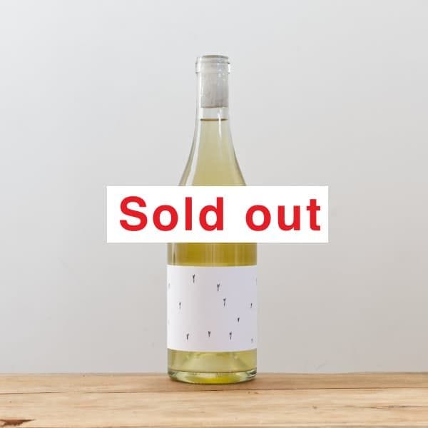 �֥��å������顼������֡��ۥ磻��2022��