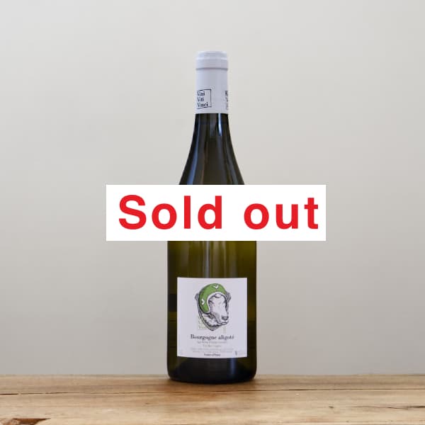 �����ˡ������ƥ���������������ꥴ��2022��