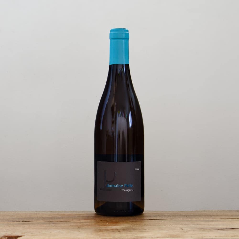 ドメーヌ・ペレ メヌトゥー・サロン モローグ・ブラン2022白