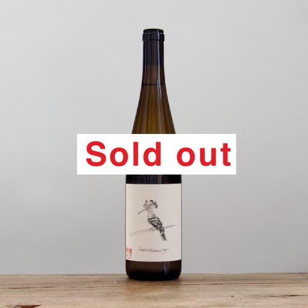 �ꥹ�ȡ�����ǥ������ǥ奢�ꥹ��2021��