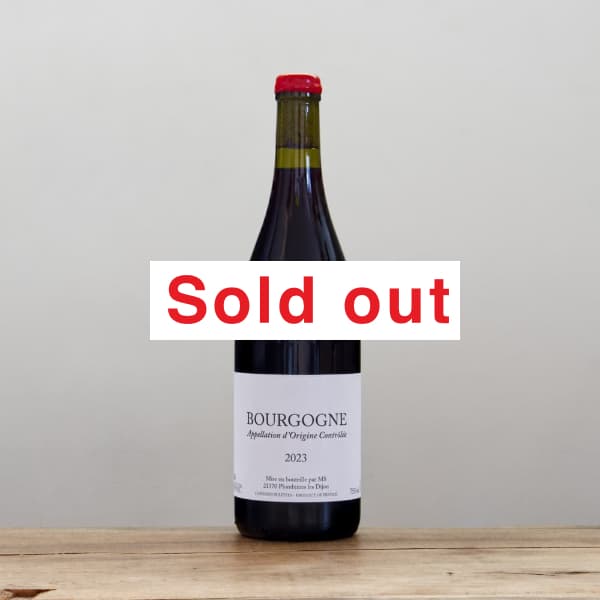 �ޥ륯�����磻�䡼�롡�ͣӥ֥르���˥塦�롼����2023��