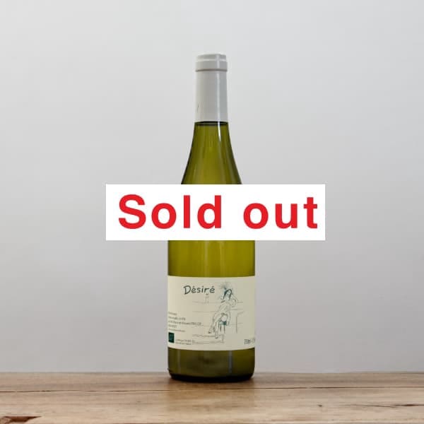 �����󥵥󡦥ȥꥳ���ǥ���2023��