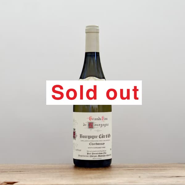 �ݡ��롦�ڥ�Ρ��֥르���˥塦�����ȥɡ��롦�����ɥ�2023��