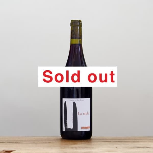 ���㥦�������ץ��ǥ������塡�顦�ߥ塼��2022��