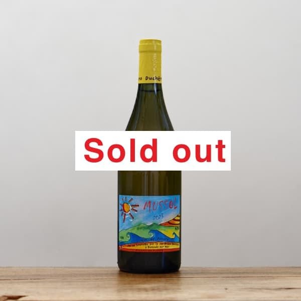 ֥롼Ρǥ奷󡡥ॽ2023