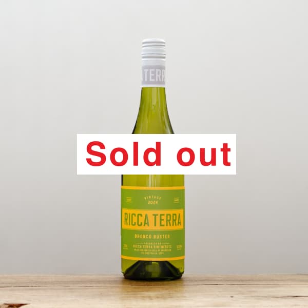 ��å����ƥå顡�֥��󥳡��Х�����2024��