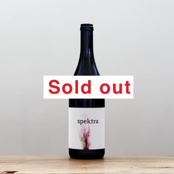 ����ɥ쥢������ǥ���&�ޡ��ƥ��󡡥��ڥ��ȥ�2022��