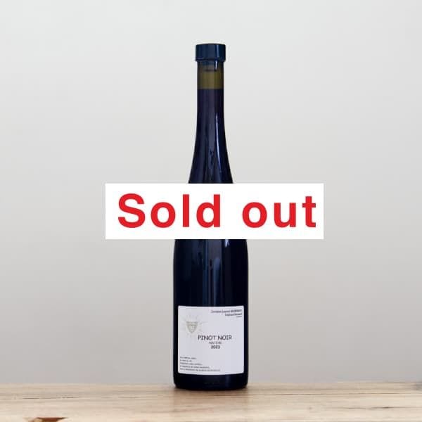 󡦥СȡԥΥΥ2023