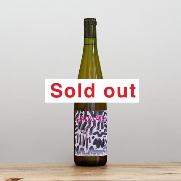 ���󥺡����֡��磻�󡡥�����������2023��