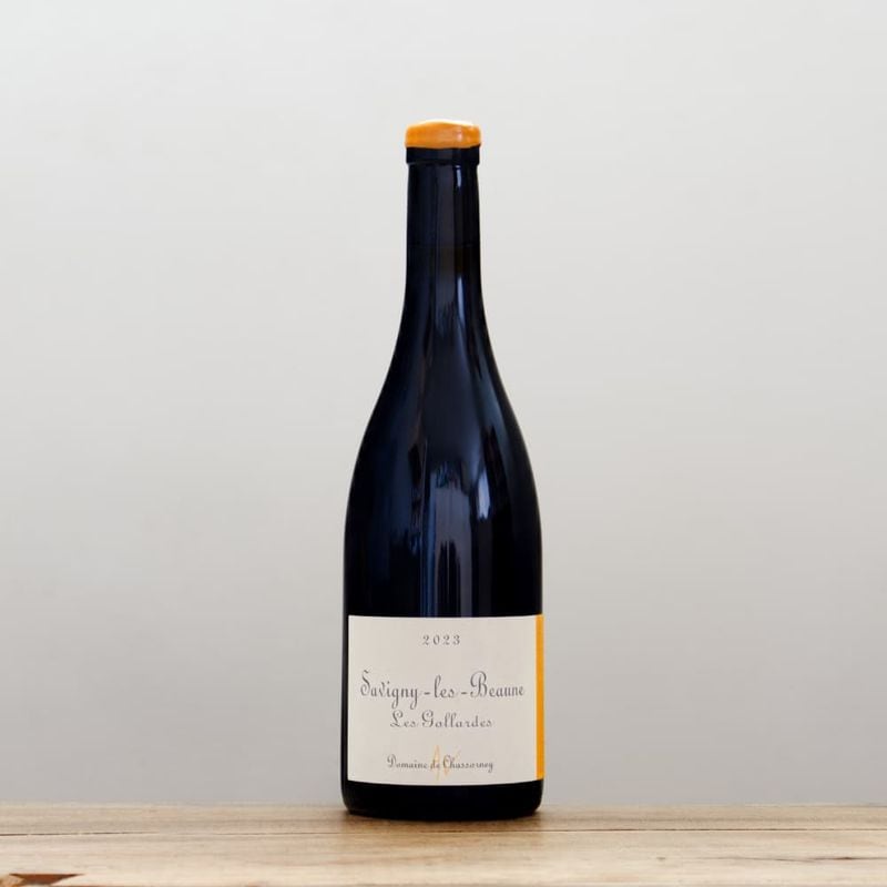 ɥ᡼̡ɡ㥽ͥˡ졦ܡ̡졦2023