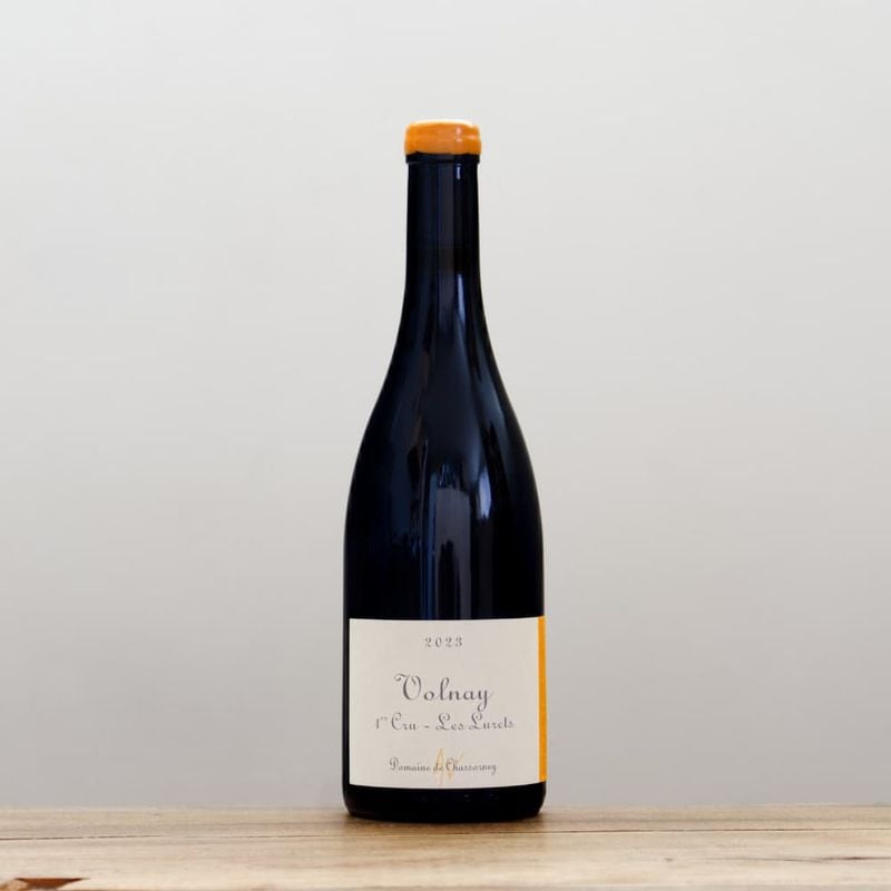 ɥ᡼̡ɡ㥽ͥͥץߥ塡졦2023