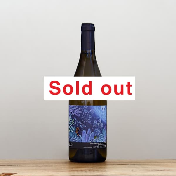 �ޥ����������󥸡��ۥ����󡡥�å�����2022&2023��