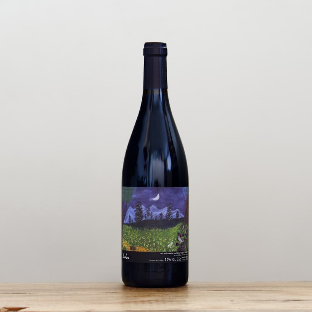 マイ・エ・ケンジ・ホジソン ルッチーニ2023赤