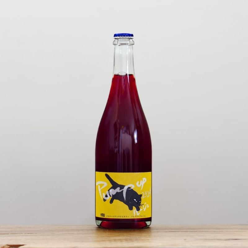 ޥå磻ʥ꡼ѥסåס롼2024ˢ