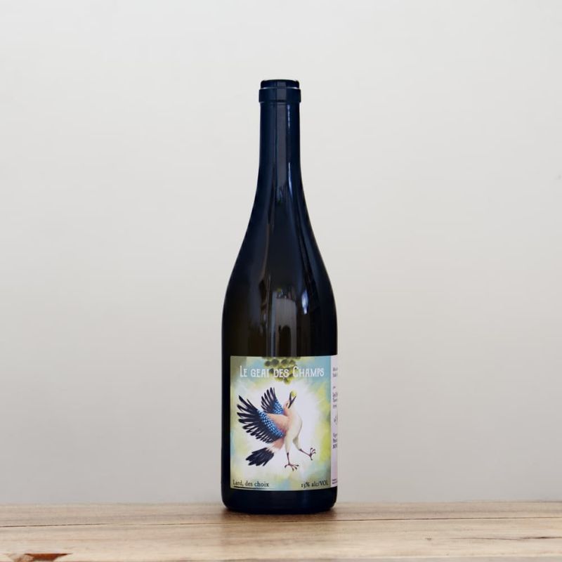 �졦����󡦥꡼�֥롡�롦�������ǡ������2023 ��