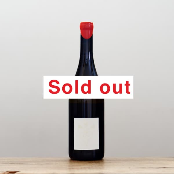 �Υ��顦���󥿥󡡣̣£̡����������桦�������˥�2022��