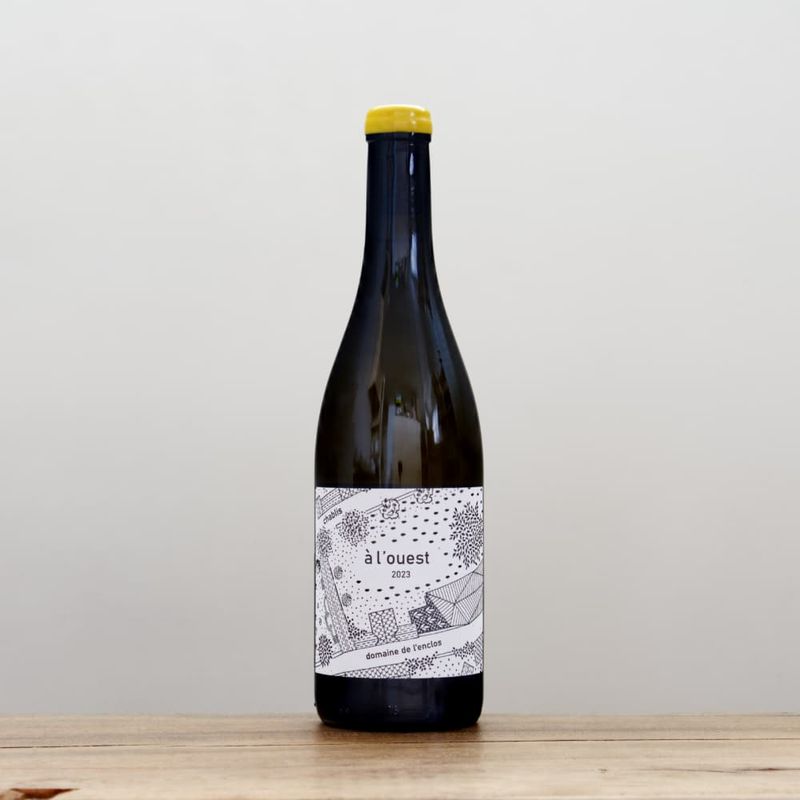 ɥ᡼̡ɡ󥯥֥ꡡ2023