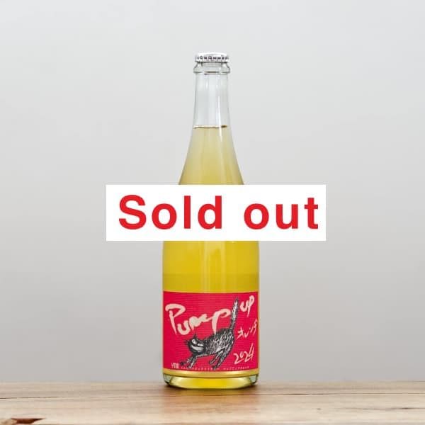 ޥå磻ʥ꡼ѥסåס2024ˢ