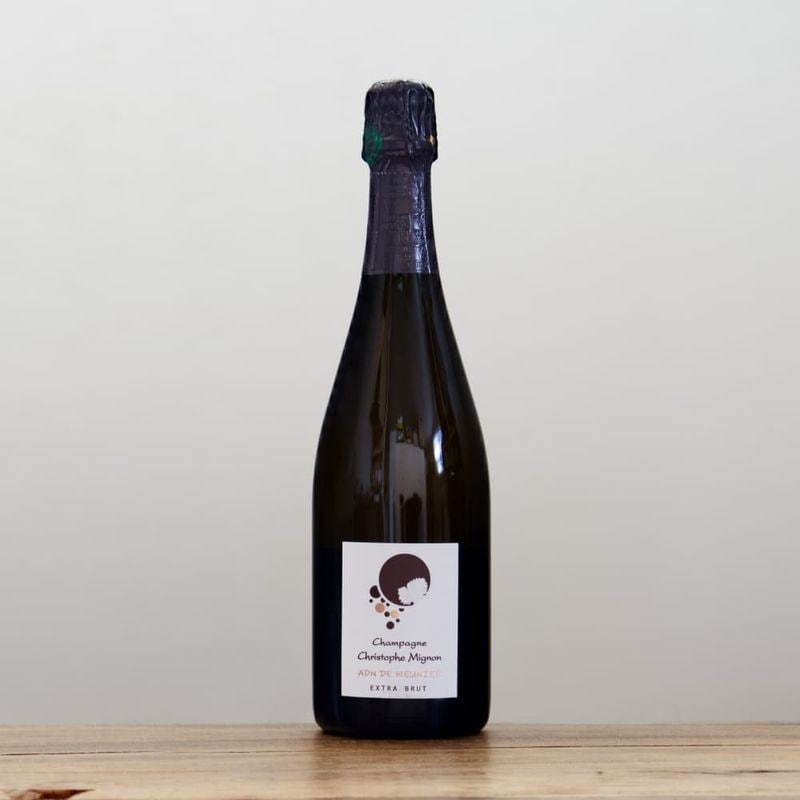 ꥹȥաߥ˥ADNɥ˥ȥ顦֥åNVˢ